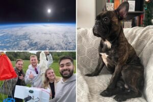 Grieving pet dad launches dog’s ashes and his beloved alien toy 119,000 feet into space Grieving pet dad launches dog’s ashes and his beloved alien toy 119,000 feet into space