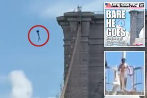 The surprising reason why Brooklyn Bridge naked nutjob may have survived ‘overwhelmingly fatal’ plunge The surprising reason why Brooklyn Bridge naked nutjob may have survived ‘overwhelmingly fatal’ plunge