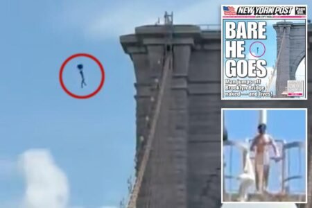 The surprising reason why Brooklyn Bridge naked nutjob may have survived ‘overwhelmingly fatal’ plunge The surprising reason why Brooklyn Bridge naked nutjob may have survived ‘overwhelmingly fatal’ plunge