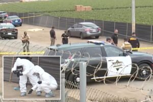 Heartbreaking details emerge after newborn baby found dead in California