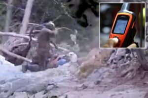 Race against time for hiker bitten by rattlesnake in dramatic rescue Race against time for hiker bitten by rattlesnake in dramatic rescue