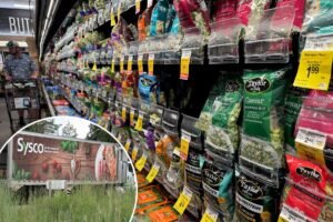 US’ largest food distributor stops lettuce purchases after cyclosporiasis deaths US’ largest food distributor stops lettuce purchases after cyclosporiasis deaths