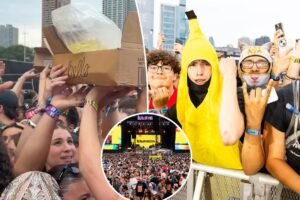 ‘Lolla-pee-looza’: Music fest fans crowd surf a ‘pee bag’ across the audience in revolting viral video