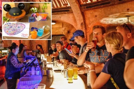 The average price of a Disneyland cocktail now costs 
