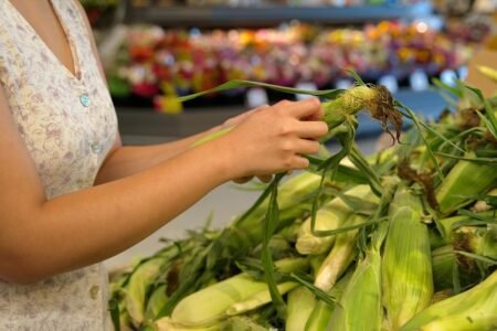 Should you shuck corn before buying it? Expert weighs in on controversial grocery store move