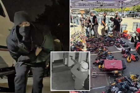Young punks busted in insane serial armed robbery spree targeting 77 Bay Area homes and cars Young punks busted in insane serial armed robbery spree targeting 77 Bay Area homes and cars
