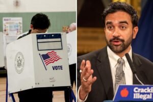 Half of New Yorkers oppose lefty DSA movement, new poll shows
