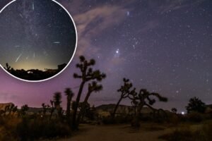 SoCal park among best places to watch Perseid meteor shower as skywatching events converge over California SoCal park among best places to watch Perseid meteor shower as skywatching events converge over California