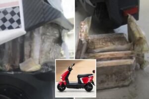 8K worth of deadly fentanyl discovered stuffed in moped at California border crossing 8K worth of deadly fentanyl discovered stuffed in moped at California border crossing