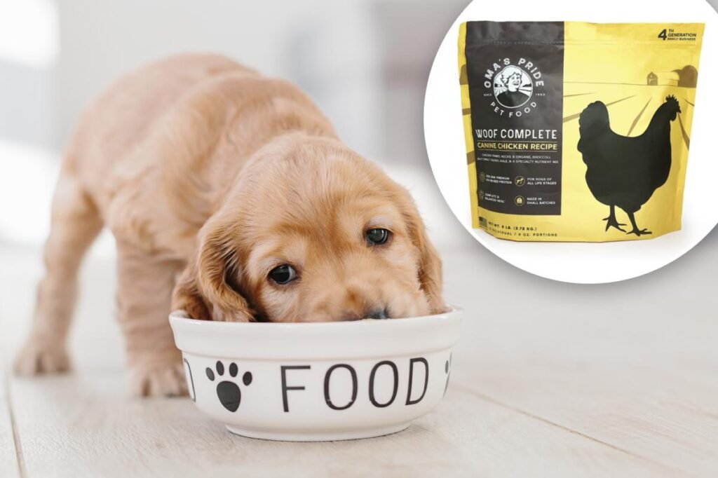 Dog food sold in 11 states recalled over deadly Salmonella contamination fears Dog food sold in 11 states recalled over deadly Salmonella contamination fears