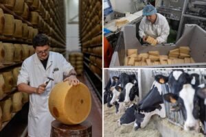 Inside Italy’s 5M cheese vaults as system that uses Parmesan as loan collateral in danger from environmental threat