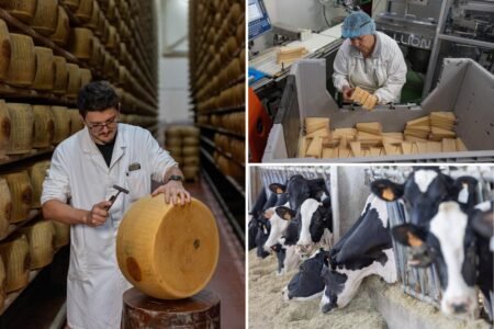 Inside Italy’s 5M cheese vaults as system that uses Parmesan as loan collateral in danger from environmental threat Inside Italy’s 5M cheese vaults as system that uses Parmesan as loan collateral in danger from environmental threat