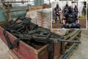 Cartel-aiding Nevada man faces 70 years in prison for buying ‘military-style’ firearms: DOJ Cartel-aiding Nevada man faces 70 years in prison for buying ‘military-style’ firearms: DOJ