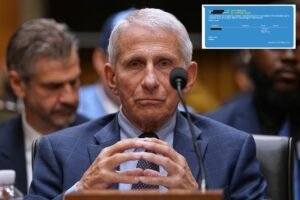 Fauci was privately informed about questions over COVID-19 vaccines and miscarriages, new texts show Fauci was privately informed about questions over COVID-19 vaccines and miscarriages, new texts show