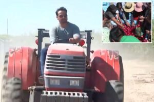California farmer who sparked frenzied crowds with free nectarine stunt ordered to destroy fruit trees California farmer who sparked frenzied crowds with free nectarine stunt ordered to destroy fruit trees