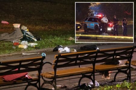 Woman, 30, fatally stabbed in Brooklyn park Woman, 30, fatally stabbed in Brooklyn park