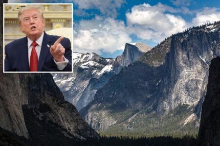 Trump admin to rescind decades-long roadless rule for national forests — enrages environmentalists nationwide Trump admin to rescind decades-long roadless rule for national forests — enrages environmentalists nationwide