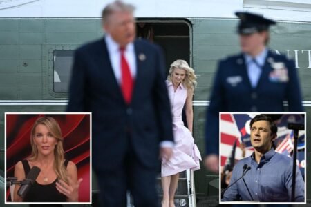Megyn Kelly takes aim at Jon Ossoff over Trump, Natalie Harp comments: ‘This is despicable’ Megyn Kelly takes aim at Jon Ossoff over Trump, Natalie Harp comments: ‘This is despicable’