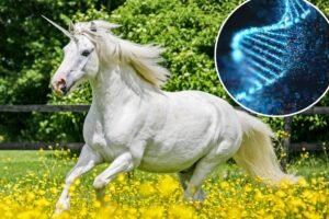 California bill seeks to ban sale of ‘unicorns’, glowing rabbits and other gene-edited pets