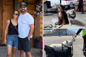 We flew with two dogs on JSX, here’s what it was really like We flew with two dogs on JSX, here’s what it was really like