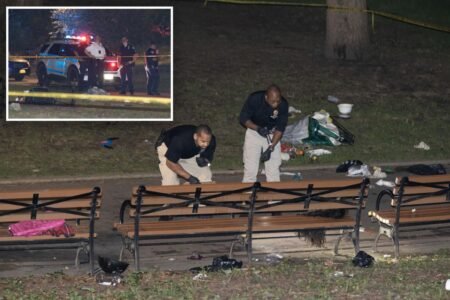 Maniac fatally stabbed 30-year-old mom in NYC park in fit of rage over spurned advances – in front of her son, 7: NYPD Maniac fatally stabbed 30-year-old mom in NYC park in fit of rage over spurned advances – in front of her son, 7: NYPD