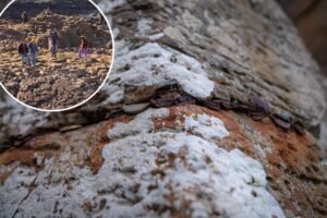 ‘Frustrating work’: Tourists defile World Heritage landmark with 10,000 coins, forcing 200-hour cleanup ‘Frustrating work’: Tourists defile World Heritage landmark with 10,000 coins, forcing 200-hour cleanup