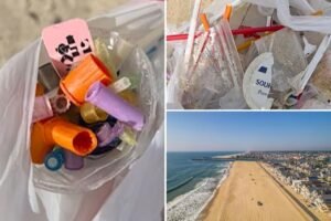 Popular New Jersey beach closed after dozens of syringes wash up on shore