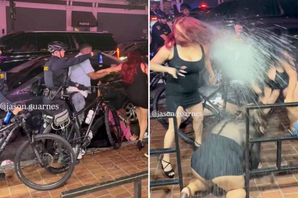 Utter pandemonium as mass street brawl between women breaks out near Tacos El Gordo in San Diego Utter pandemonium as mass street brawl between women breaks out near Tacos El Gordo in San Diego