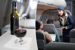 ‘Humiliation’: American Airlines flight attendant accused of mocking victim in drunk passenger’s assault in lawsuit
