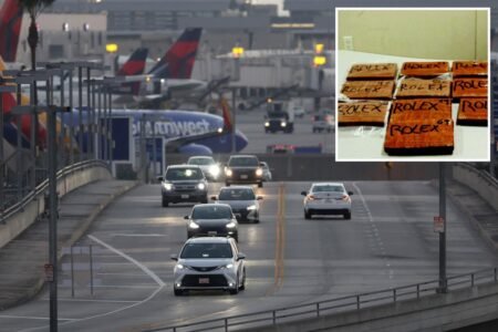 LAX worker and pal busted in airport bathroom with 24 lbs of fentanyl set for flight: feds LAX worker and pal busted in airport bathroom with 24 lbs of fentanyl set for flight: feds