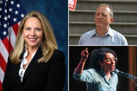 NY AFL-CIO snubs Mamdani-backed socialist Daraliza Avila Chevalier, Democrats Lander and Gillen in House races
