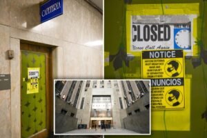 Manhattan Criminal Court cafeteria crawling with mice, roaches, inspections find Manhattan Criminal Court cafeteria crawling with mice, roaches, inspections find