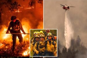 Napa Valley winery worker charged with starting massive fire that caused M in losses Napa Valley winery worker charged with starting massive fire that caused M in losses