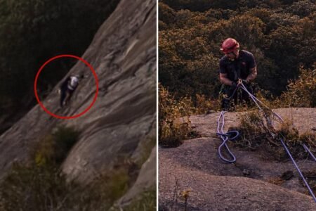 Firefighter dramatically rescues free climber stranded on Georgia rock face who called 911 Firefighter dramatically rescues free climber stranded on Georgia rock face who called 911