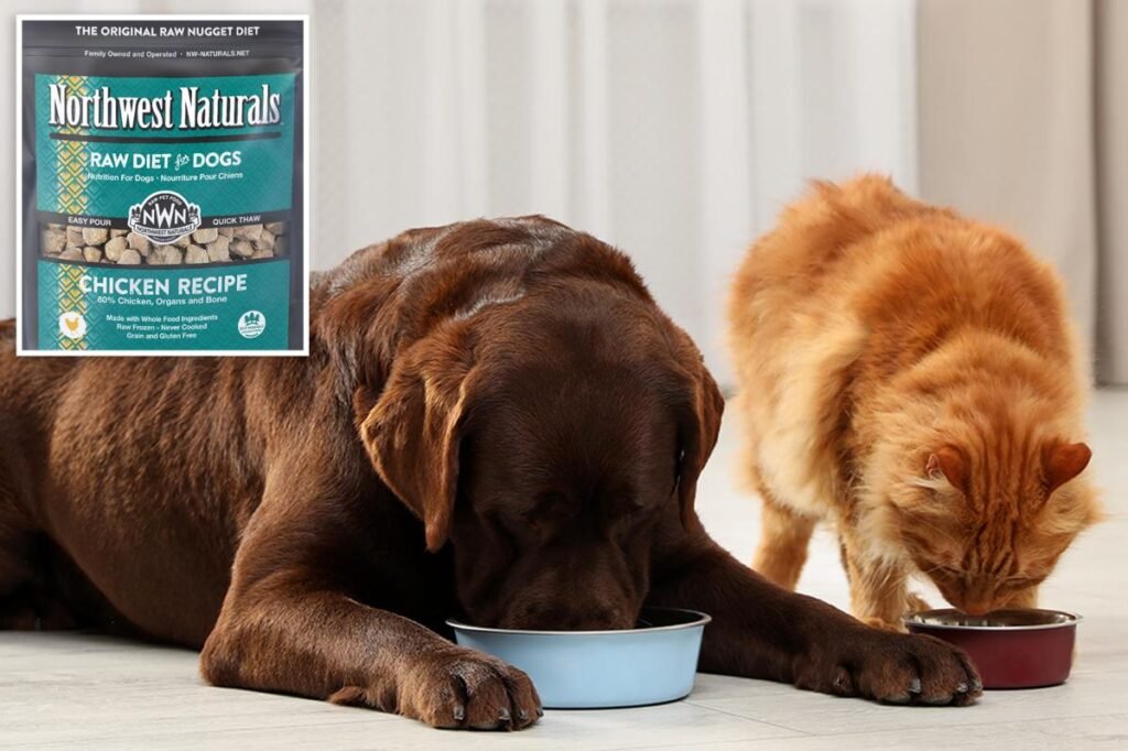 Raw cat and dog food recalled nationwide over salmonella, listeria risk Raw cat and dog food recalled nationwide over salmonella, listeria risk