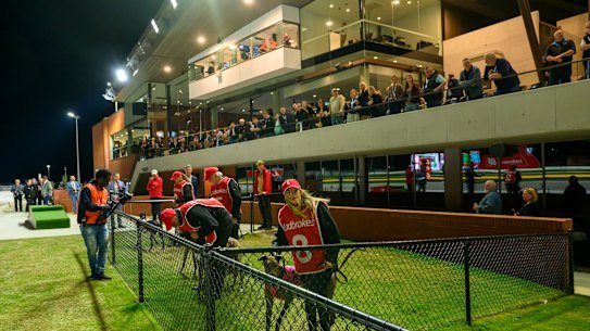 Race night at The Q.