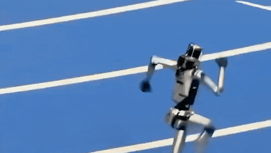 Humanoid robot crashes into safety barrier at robot olympics.