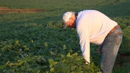 US soybean farmers race to meet global demand as farmland shrinks US soybean farmers race to meet global demand as farmland shrinks