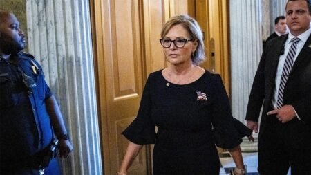 GOP party fissures exposed in battle for SC Senate seat to replace Graham: ‘I don’t like hearing that’ GOP party fissures exposed in battle for SC Senate seat to replace Graham: ‘I don’t like hearing that’