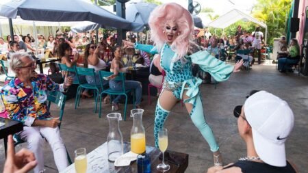 Federal appeals court clears way for DeSantis-backed law restricting children at some drag shows