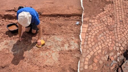 Archaeologists uncover sprawling Roman estate buried for centuries beneath farmland