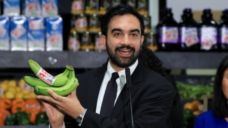 Grocer-turned-lawmaker says Mamdani’s government-run stores ‘might not even last a year’