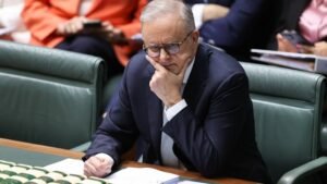 Ed Husic to take break after car crash; H5N1 bird flu cases rise; Labor gambling reform set to be toughened Ed Husic to take break after car crash; H5N1 bird flu cases rise; Labor gambling reform set to be toughened
