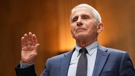 Fauci’s HHS iPhone turned over to Senate investigators as contempt vote looms Fauci’s HHS iPhone turned over to Senate investigators as contempt vote looms