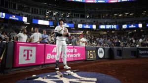 Woman sues Yankees for million, claiming errant bat into stands caused severe injuries Woman sues Yankees for million, claiming errant bat into stands caused severe injuries