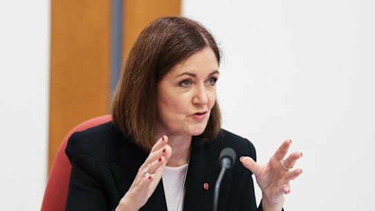 Opposition communications spokeswoman Sarah Henderson.