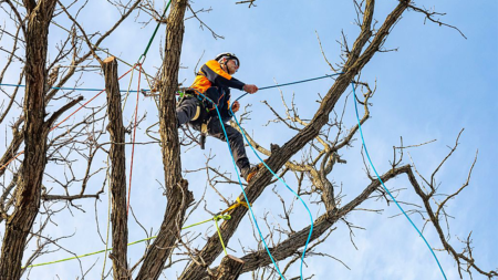 Climbing ropes recalled over risk of death from falling, regulators say