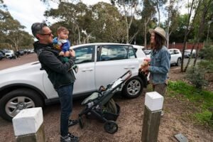Council considers abolishing fee cap to encourage public transport use Council considers abolishing fee cap to encourage public transport use