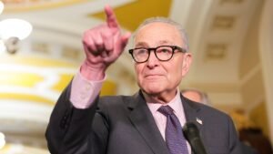 Schumer said ‘Democrats support voter ID’ — then every Senate Democrat voted against GOP bill Schumer said ‘Democrats support voter ID’ — then every Senate Democrat voted against GOP bill