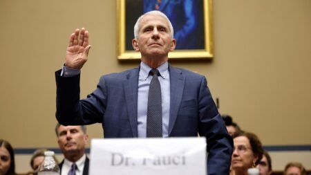 Fauci discussed COVID mRNA vaccine concerns for pregnant women in text chain released by Senate committee Fauci discussed COVID mRNA vaccine concerns for pregnant women in text chain released by Senate committee